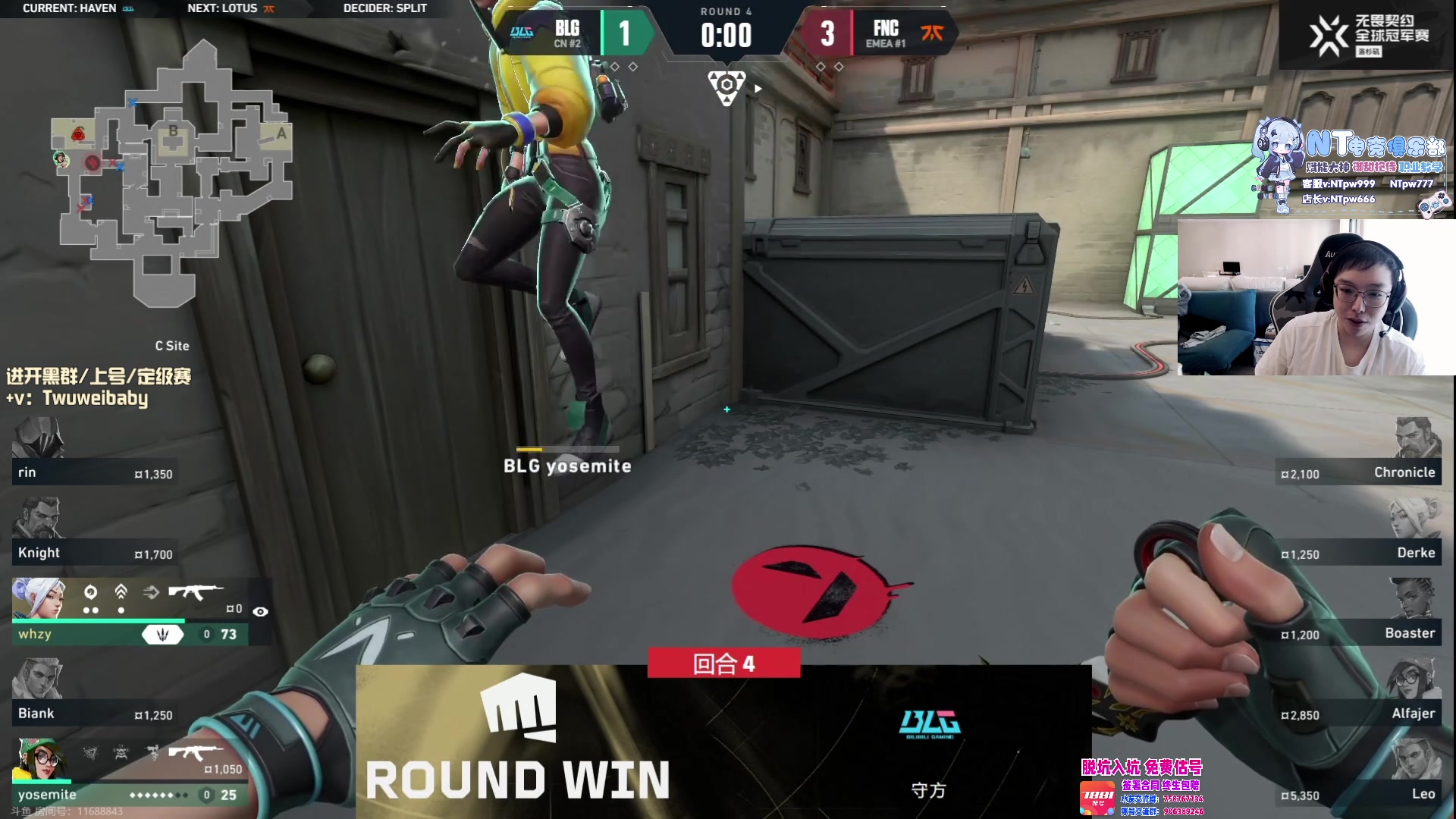 【2023-08-10 08点场】syQvQ：职业选手 解说BLG-FNATIC
