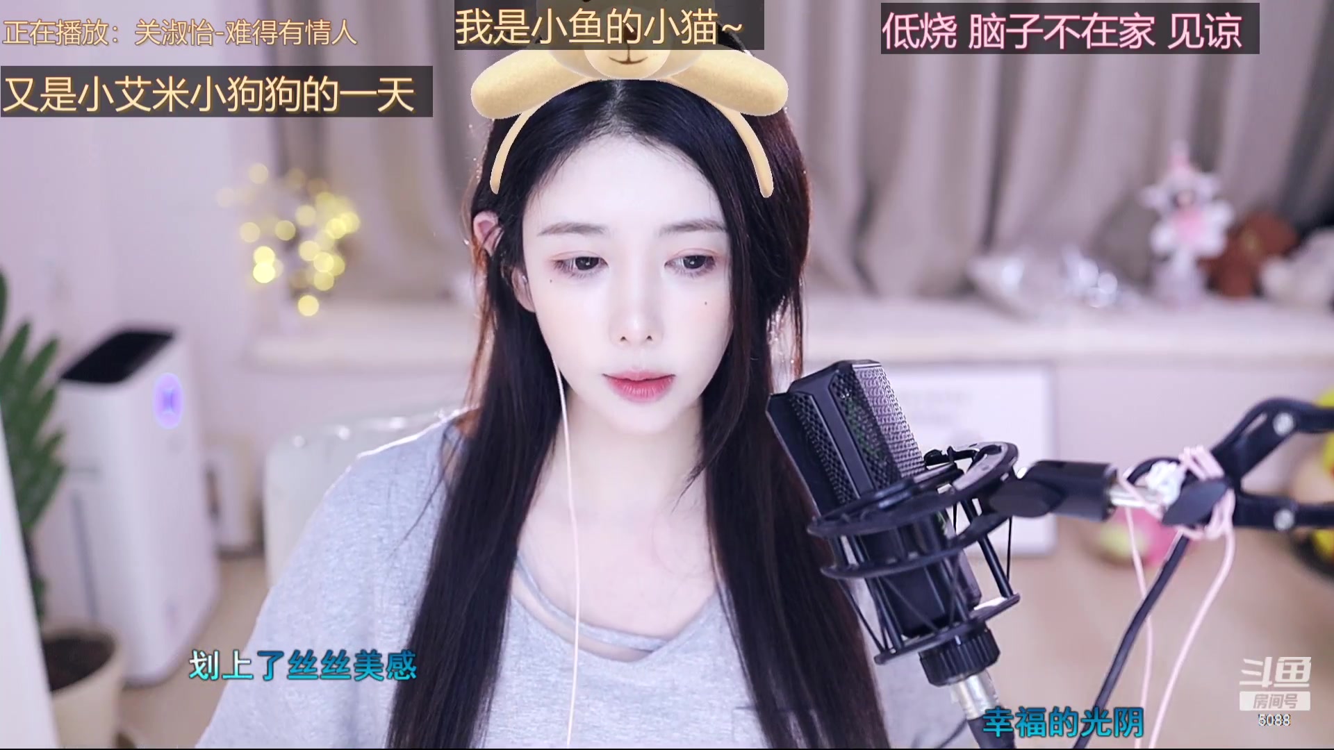 【2023-08-11 17点场】晒网的慧儿呀：小狗努力打工呀~