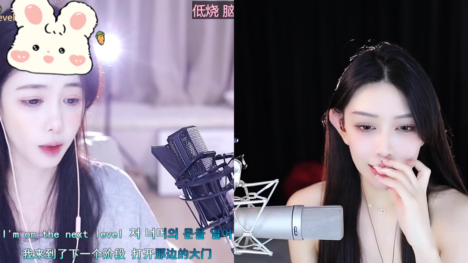 【2023-08-11 13点场】晒网的慧儿呀：小狗努力打工呀~