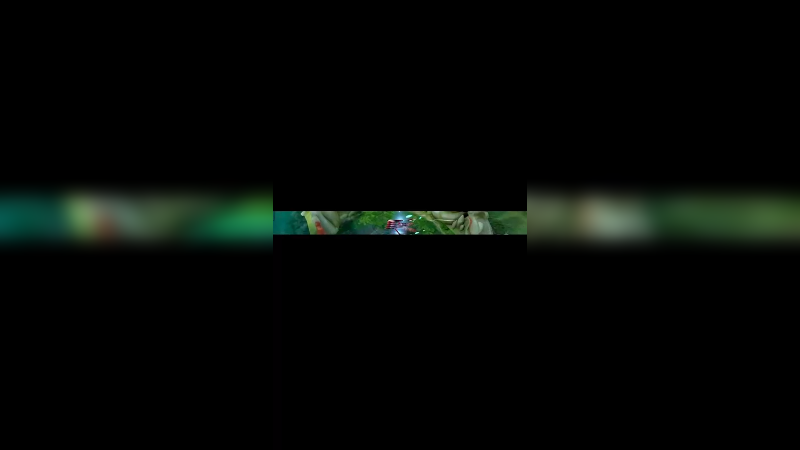 如果能遇见你的下一步走向，那这算不算是G