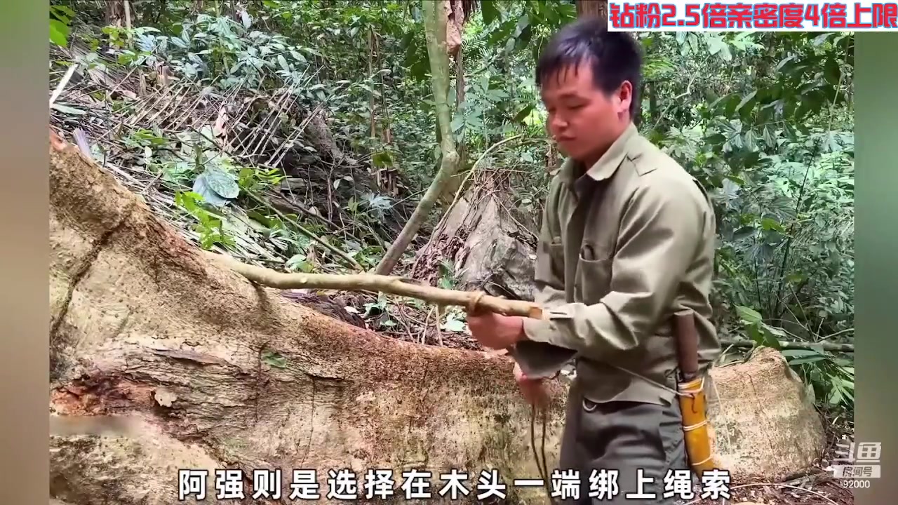 【2023-08-11 01点场】呆妹儿小霸王：【钻粉2.5倍】一起see
