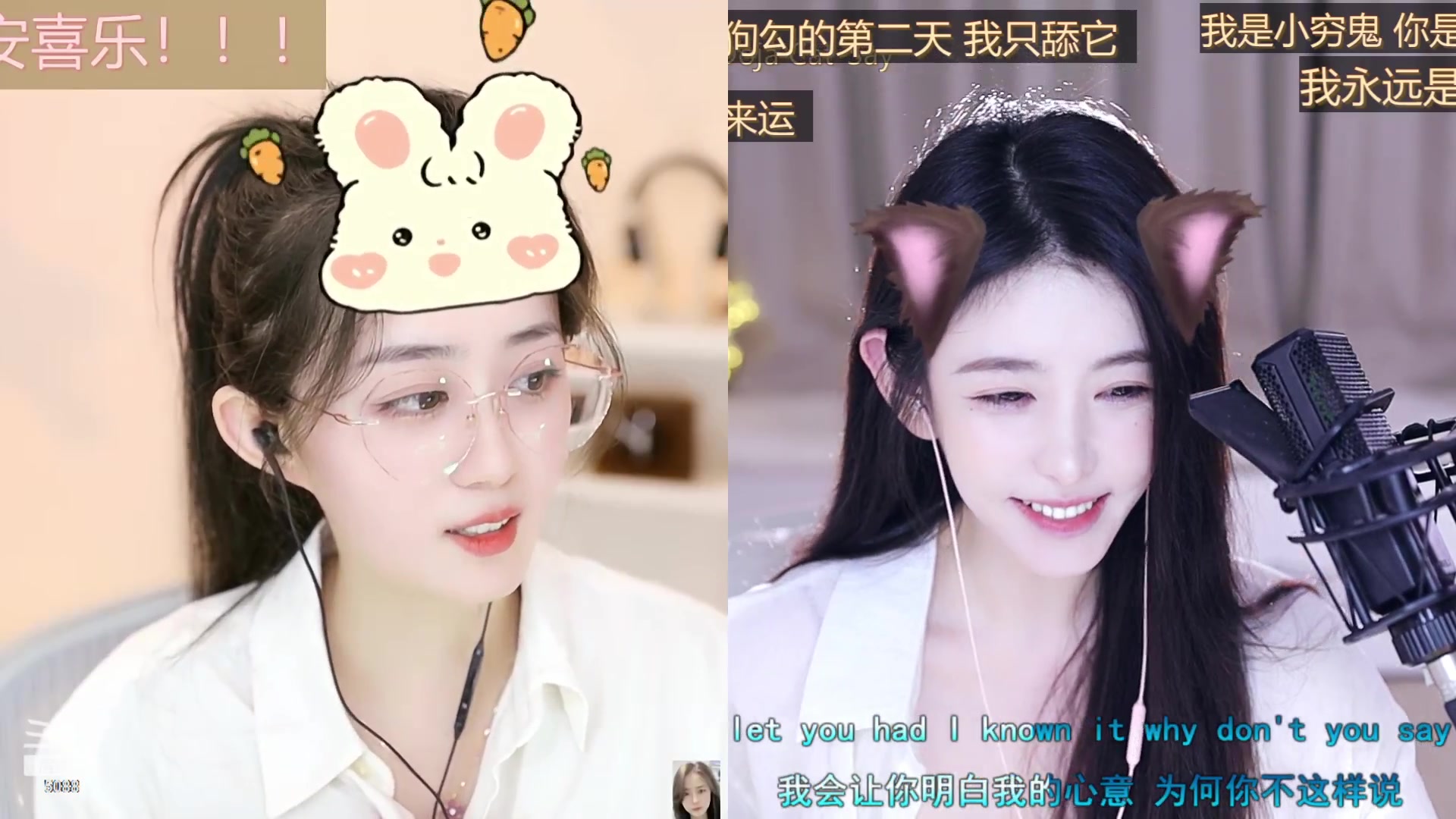 【2023-08-12 17点场】晒网的慧儿呀：小狗努力打工呀~