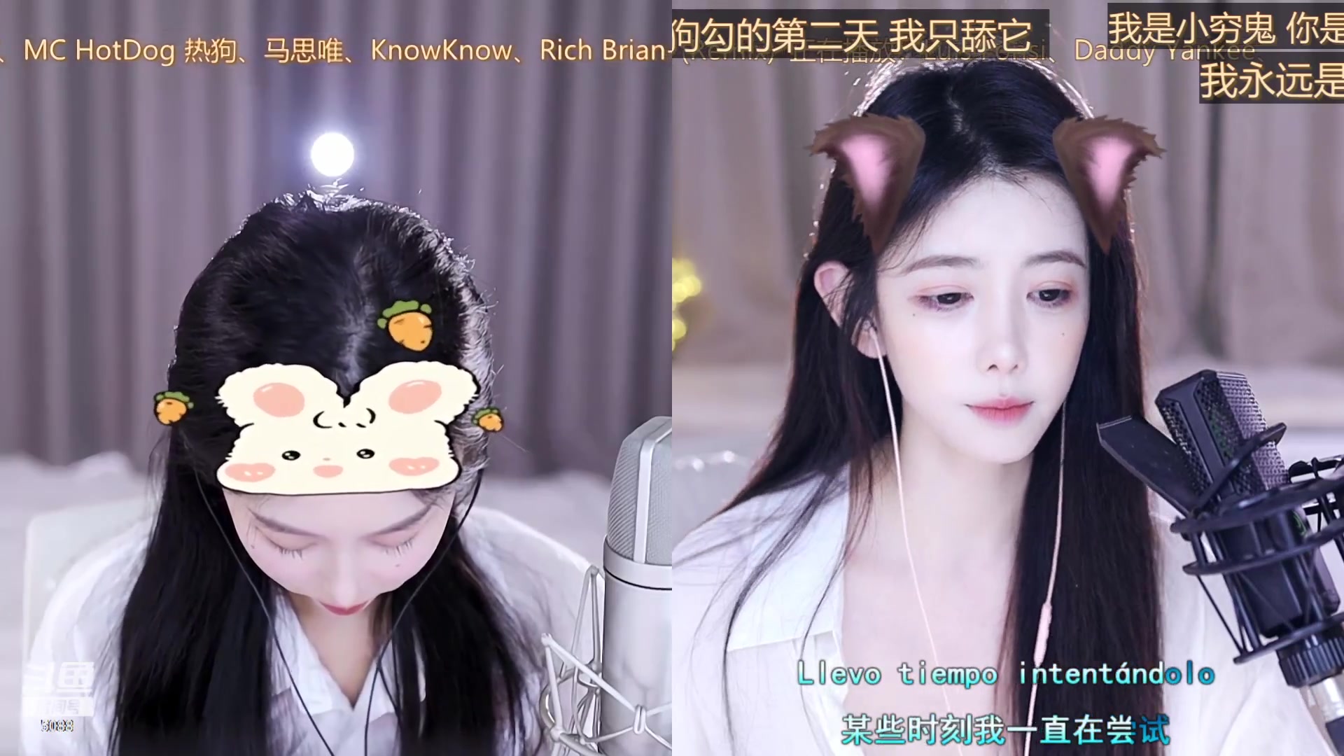 【2023-08-12 15点场】晒网的慧儿呀：小狗努力打工呀~