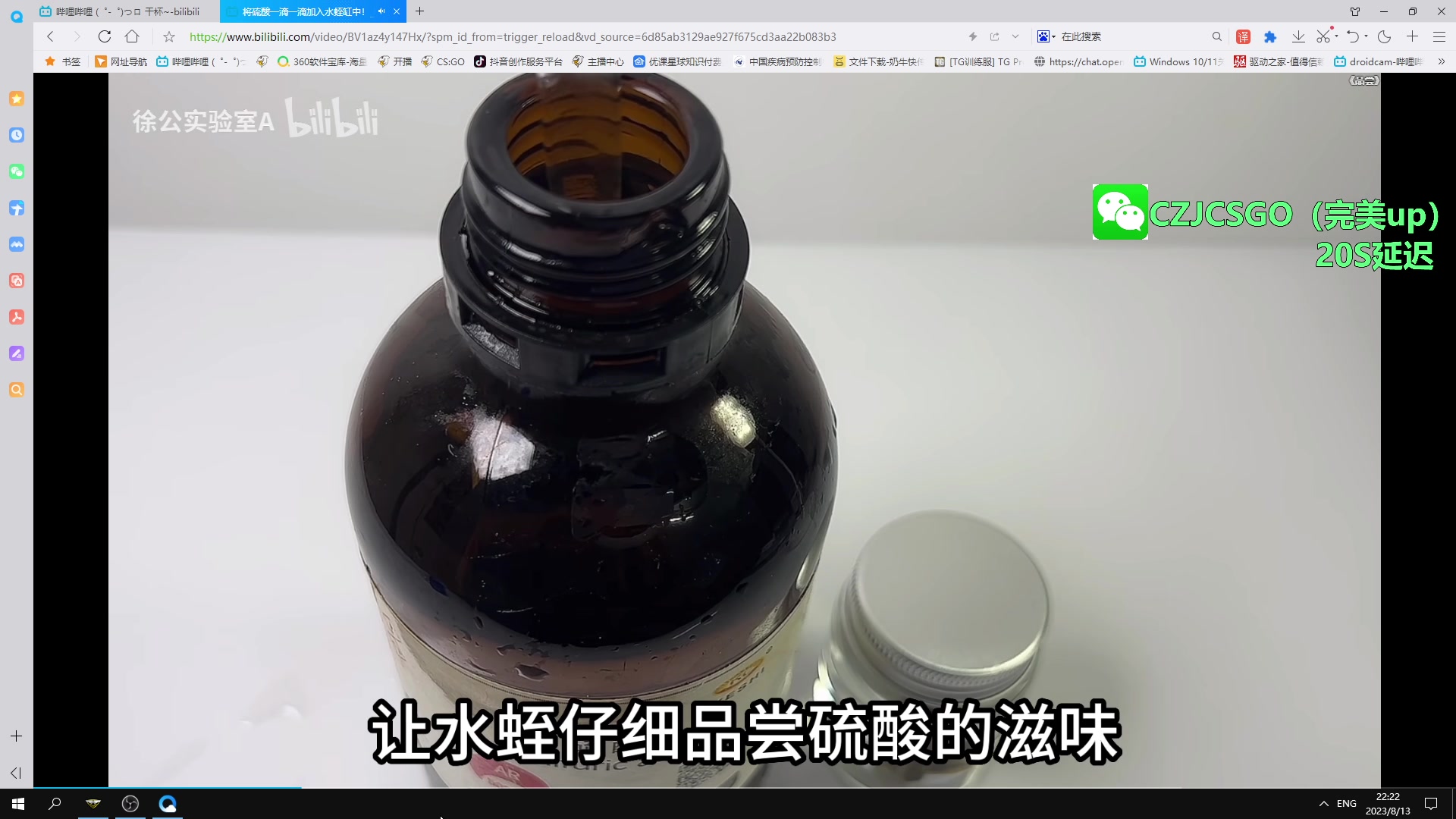 【2023-08-13 22点场】陈子敬丶：陈子敬：统治完美魔王五排