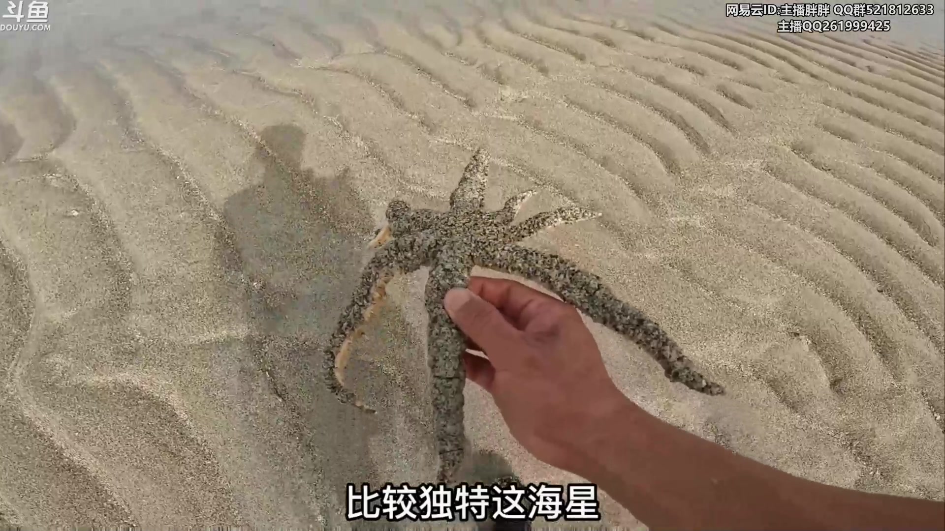 【2023-08-13 03点场】胖胖灬：胖胖OB：Gen确定世界赛，T1待定！