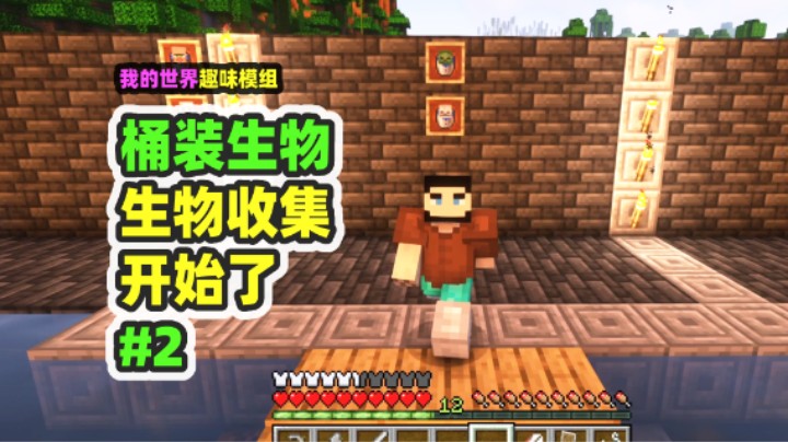我的世界：桶装生物2，做了一面墙，开始收集全生物