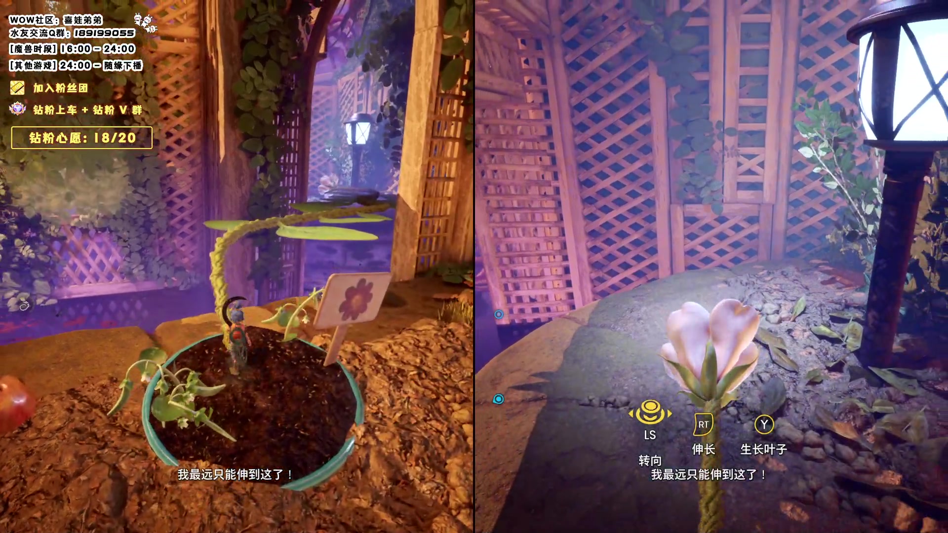 【2023-08-12 19点场】天真的喜娃：【❤】0.1元亮粉丝牌，加入喜ok粉丝团