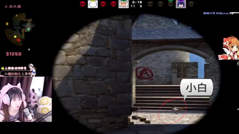 【小樱】康康我养的dma鸡