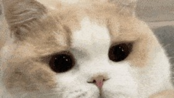 hdjd