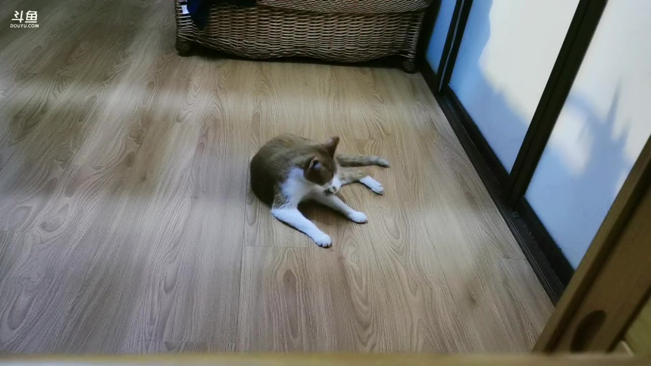 【2023-08-12 20点场】三时小周每娘娘：今天带水了，但是看不到日落只能看夜景