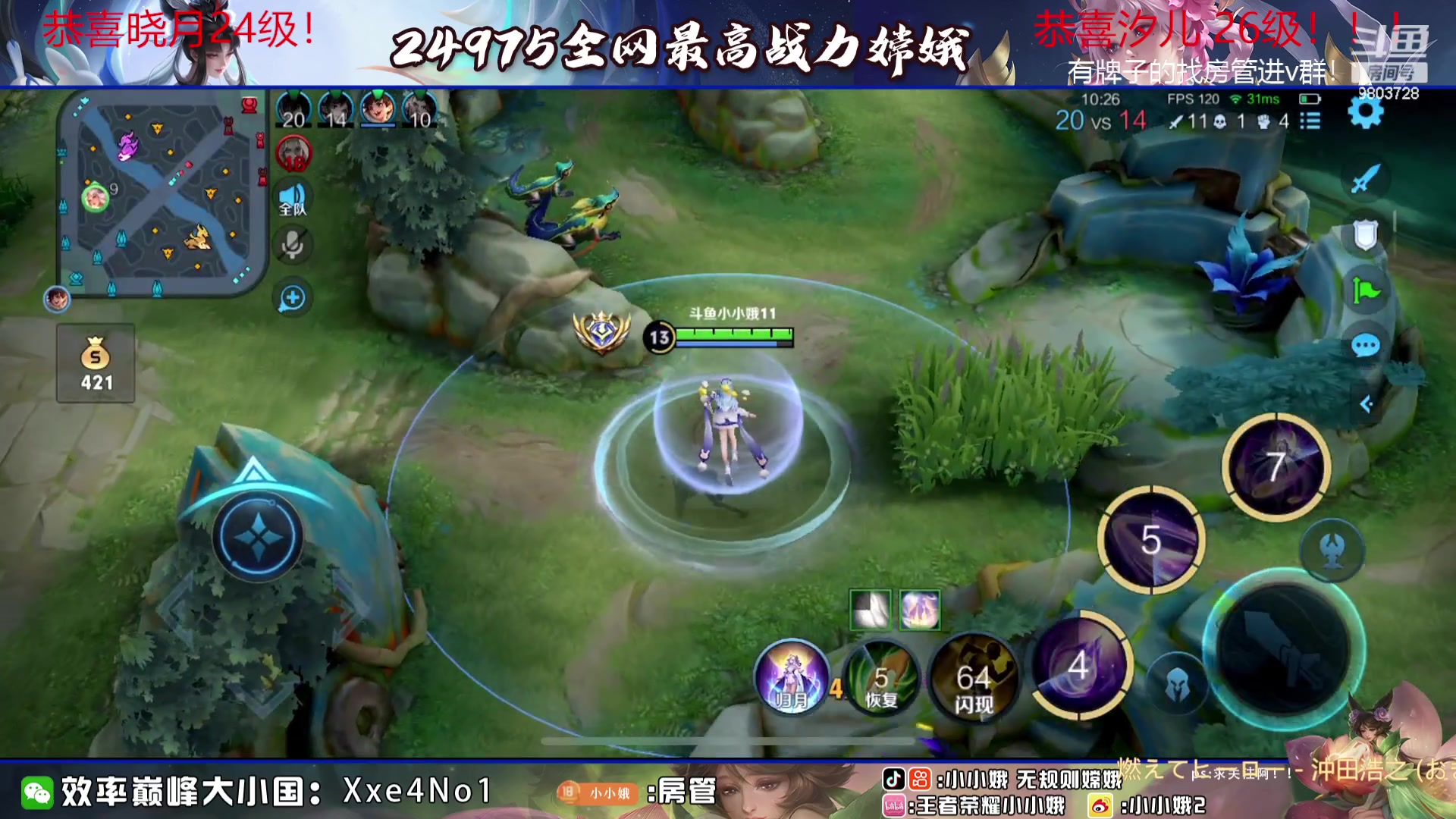 【2023-08-15 00点场】小小娥1：小娥老师来啦！