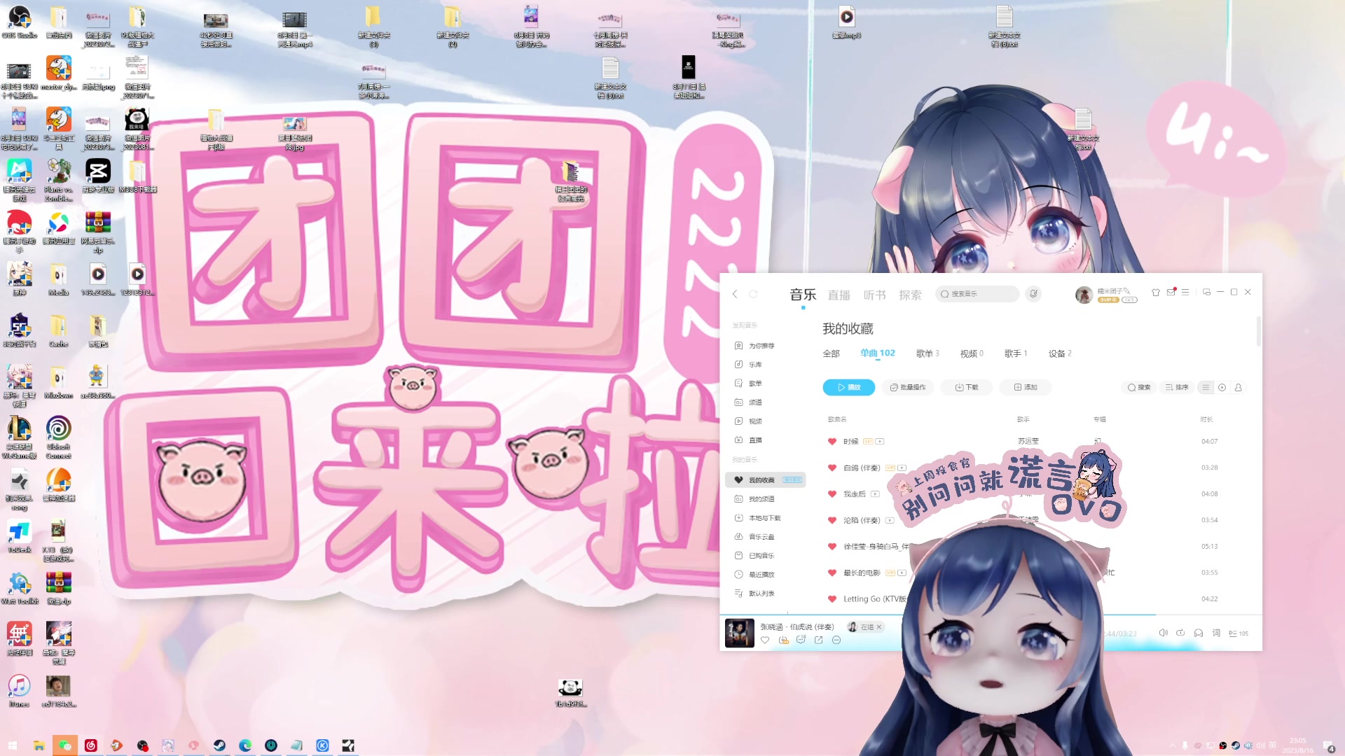 【2023-08-16 23点场】一条小团团OvO：五点来播，不来是猪