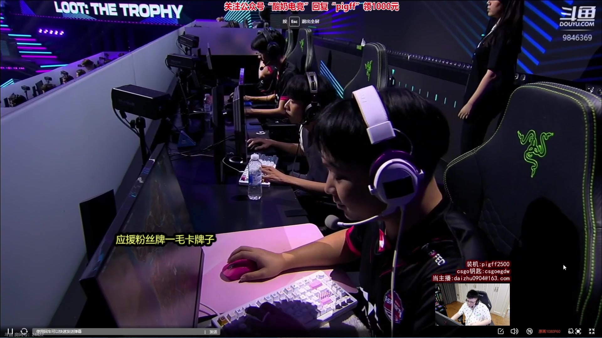 【2023-08-15 21点场】板板OwO：【呆猪】天禄加油！