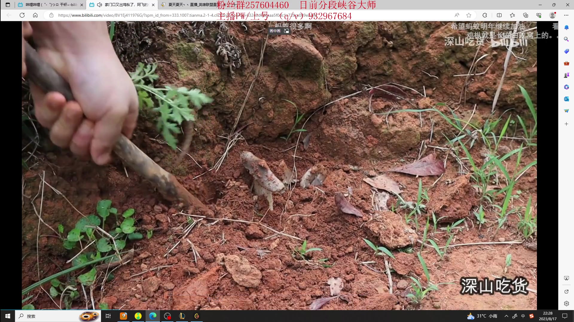 【2023-08-17 22点场】夏天夏天丶丶：祝大家天天开心，事事如意