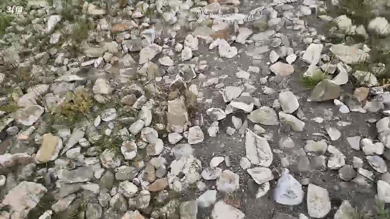 【2023-08-13 18点场】叶子户外：《纪实直播》day13羊卓雍措