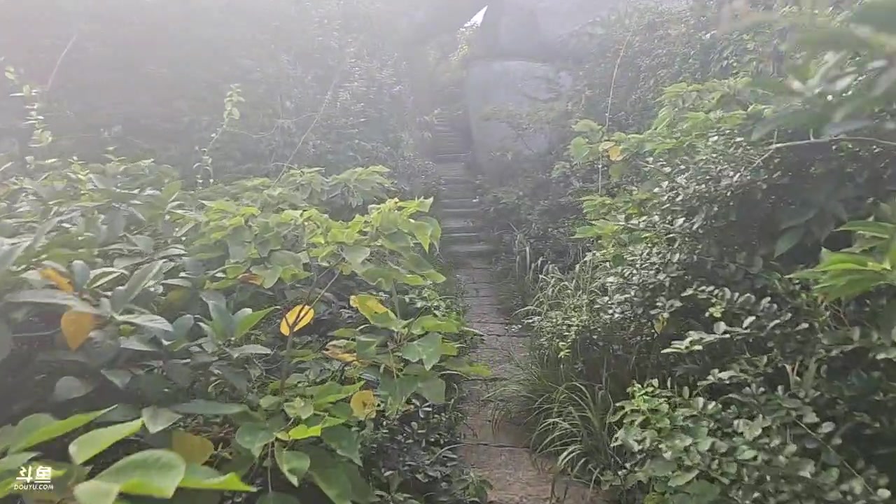 【2023-08-16 17点场】蓝战非OvO：31岁生日，直播十周年～环游第150天