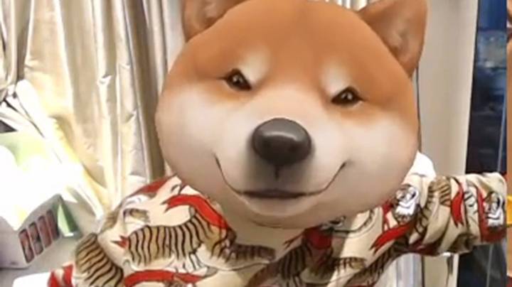 【狗贼的日常1302】你就一点血还能翻？ ★★★★☆