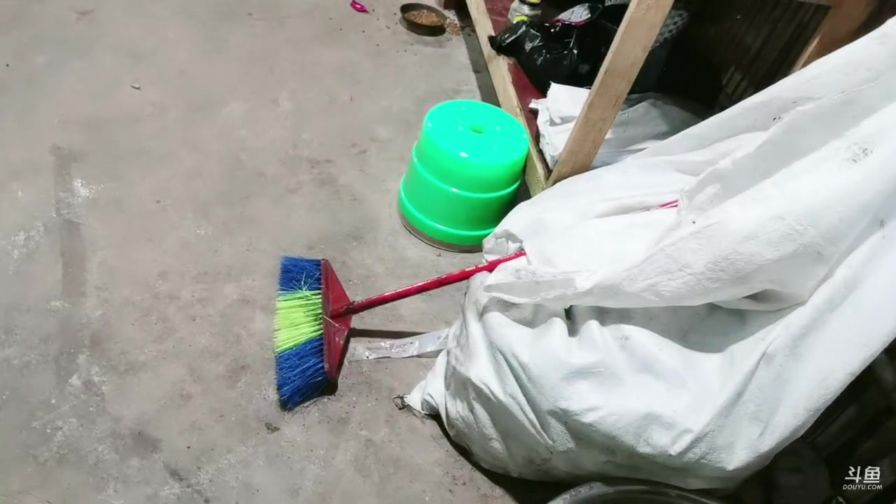 【2023-8-18 3点场】惠娜娜呀:【小奶团】985团播第28天