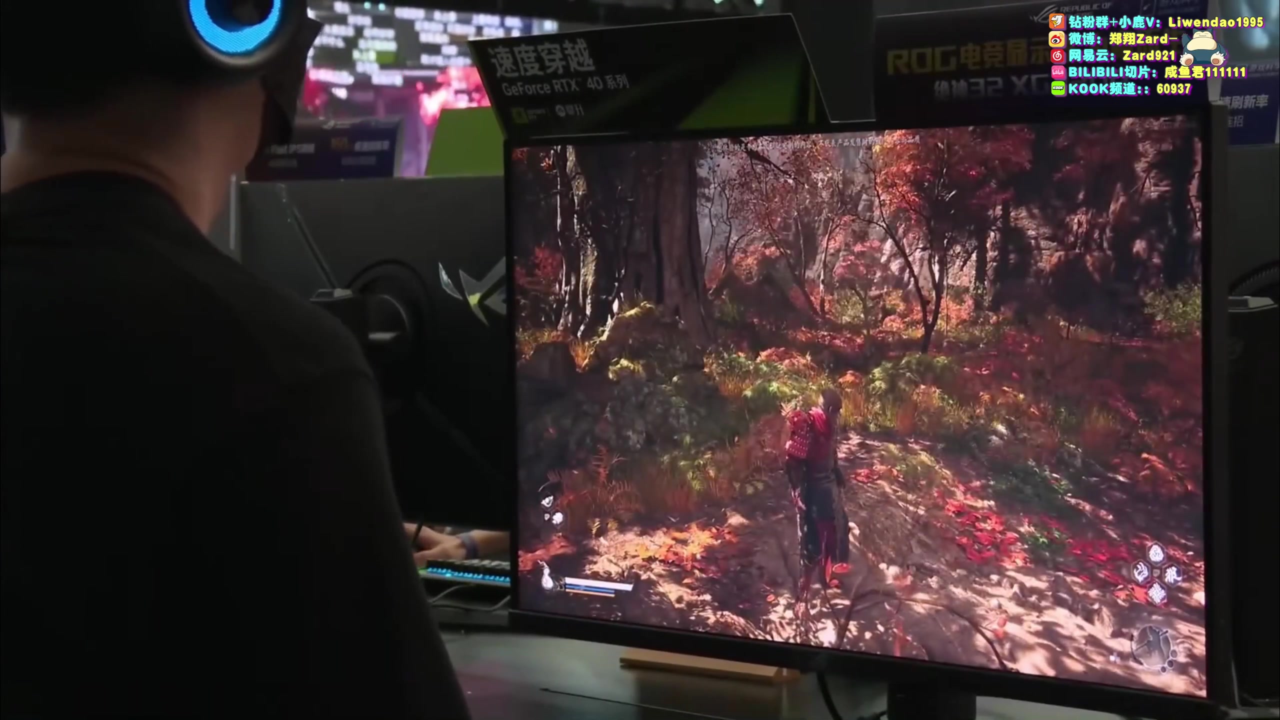 【2023-08-20 14点场】zard1991：Zard1991 chill dude