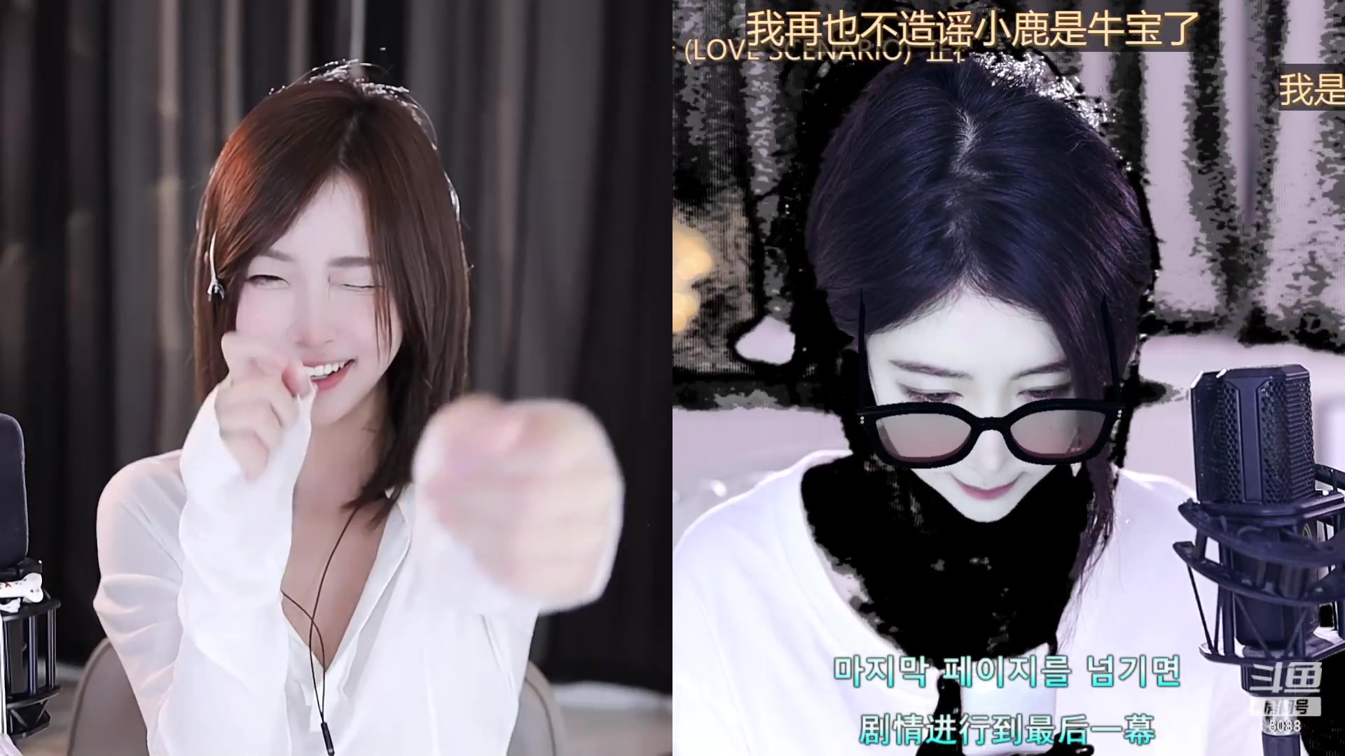 【2023-08-20 16点场】晒网的慧儿呀：小狗去纹眉毛啦~