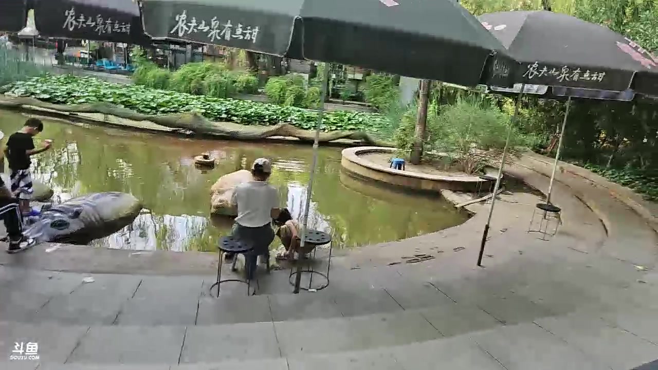 【2023-08-21 16点场】大嘴love：郑州【日行一善】