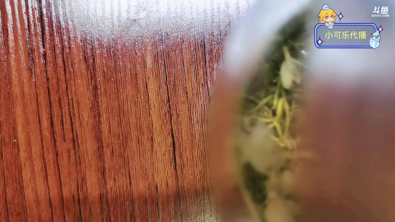 【2023-08-21 00点场】李哥儿DoubleLee：今天也要开心鸭 5517219