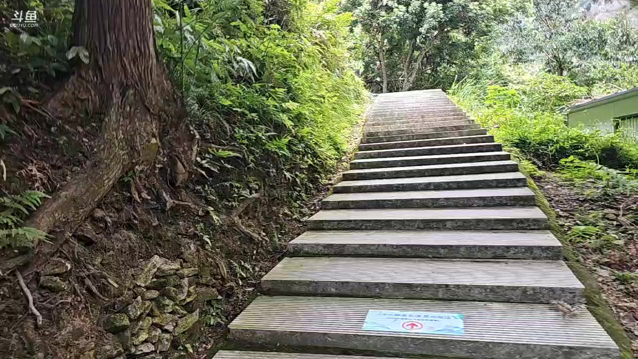 【2023-08-21 11点场】蓝战非OvO：温州雁荡山～环游第155天