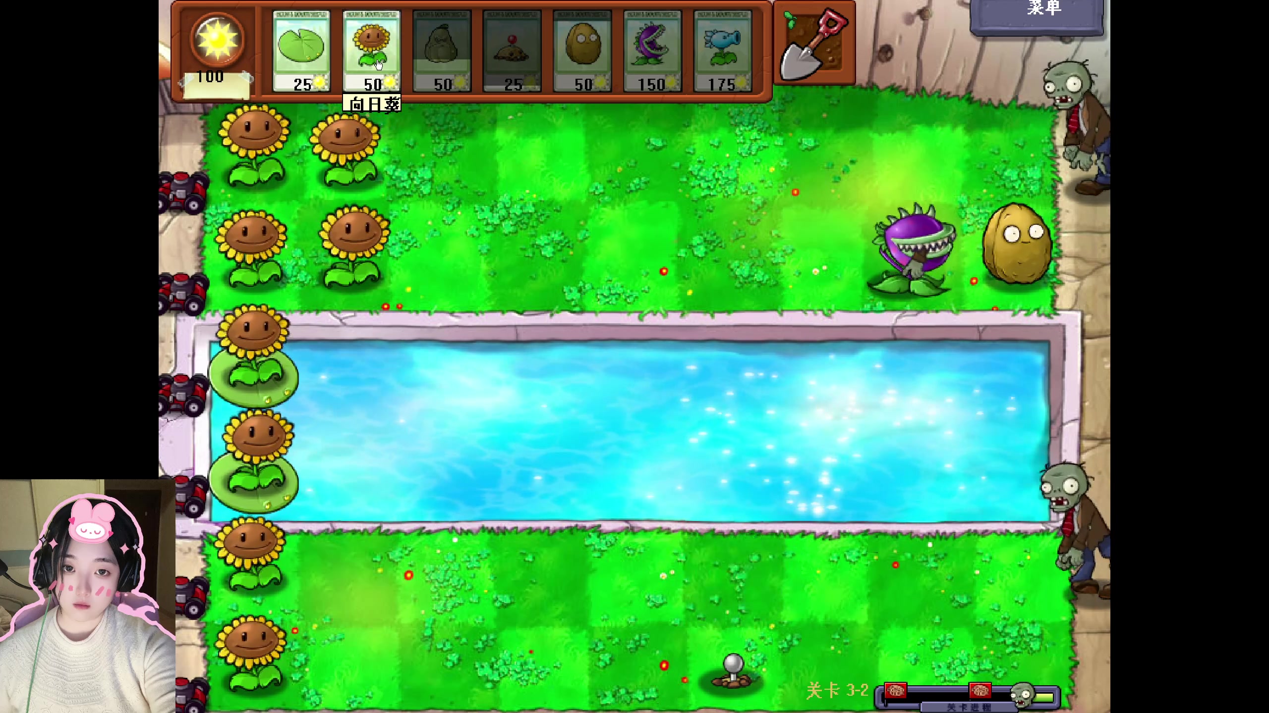 【2023-08-21 20点场】膝盖是个倒霉蛋：~ 晚上好呀