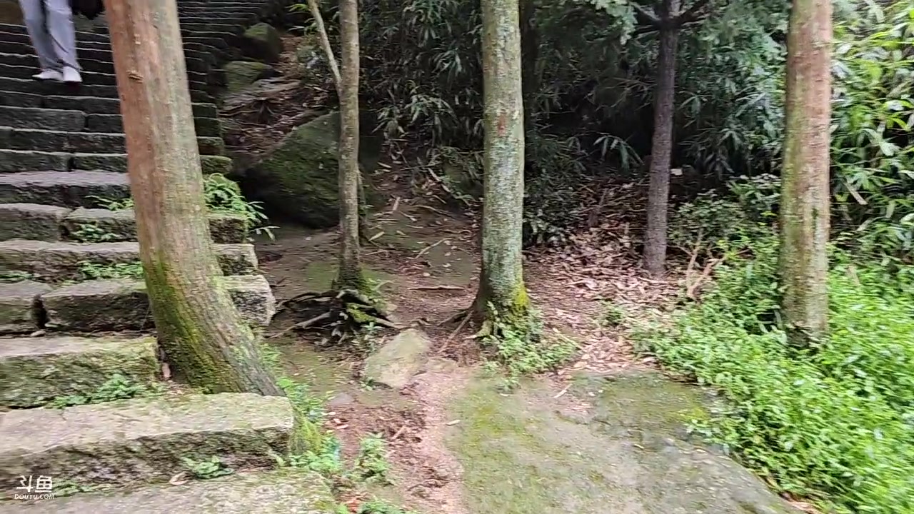 【2023-08-22 15点场】蓝战非OvO：福建太姥山～环游第156天