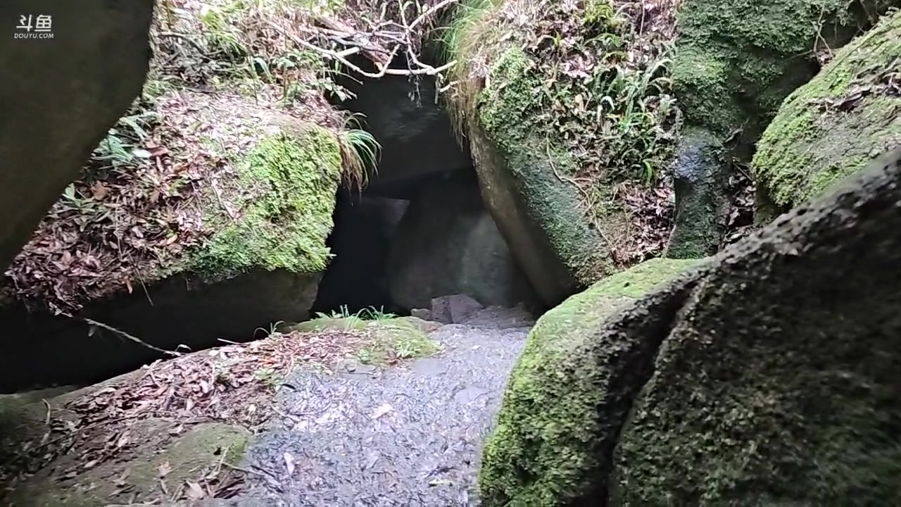 【2023-08-22 16点场】蓝战非OvO：福建太姥山～环游第156天