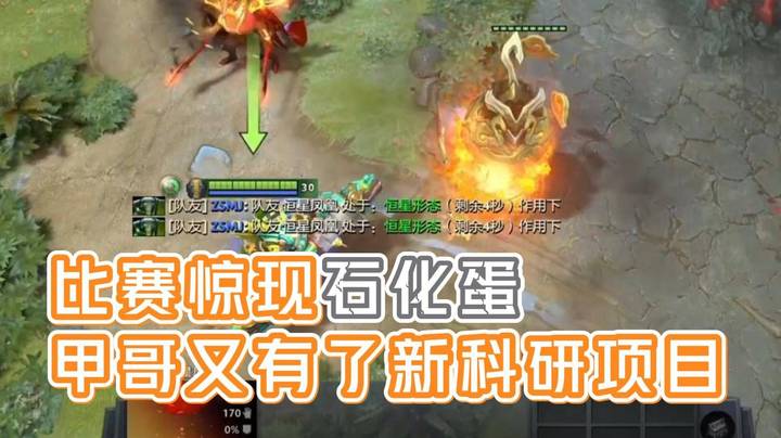 比赛惊现“石化蛋”！甲哥又有了新的科研项目！