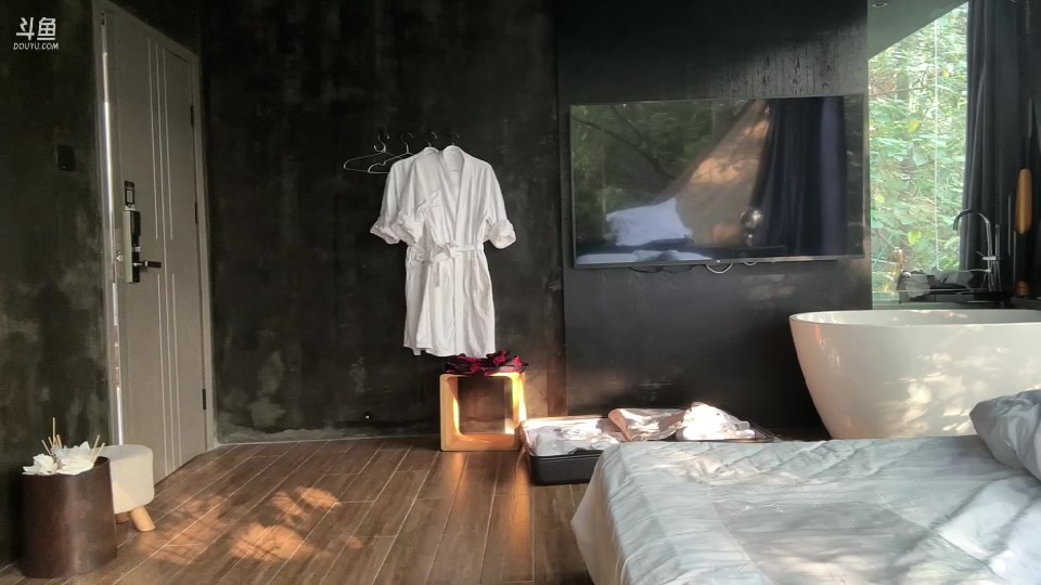 【2023-08-20 16点场】叁三QvQ：【小奶团】祝小果生日快乐~~