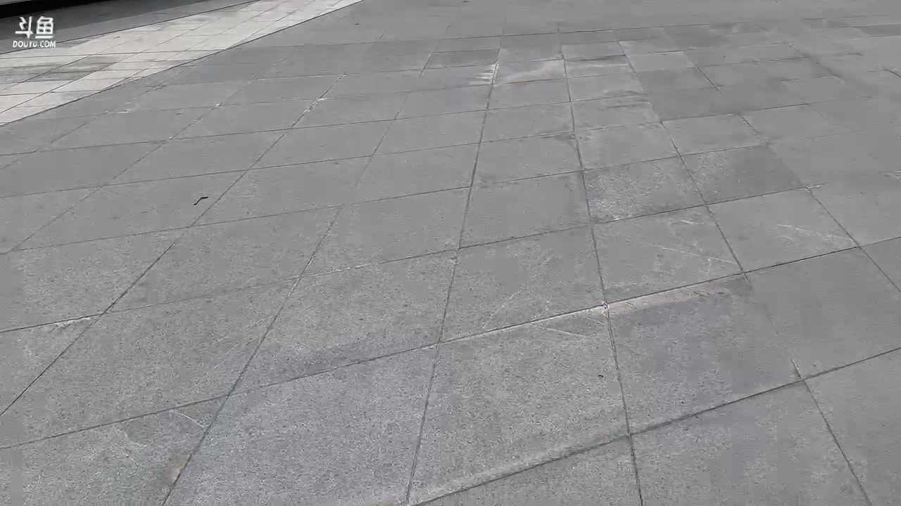 【2023-08-20 10点场】哦呦orz：【小奶团】长沙之行开启