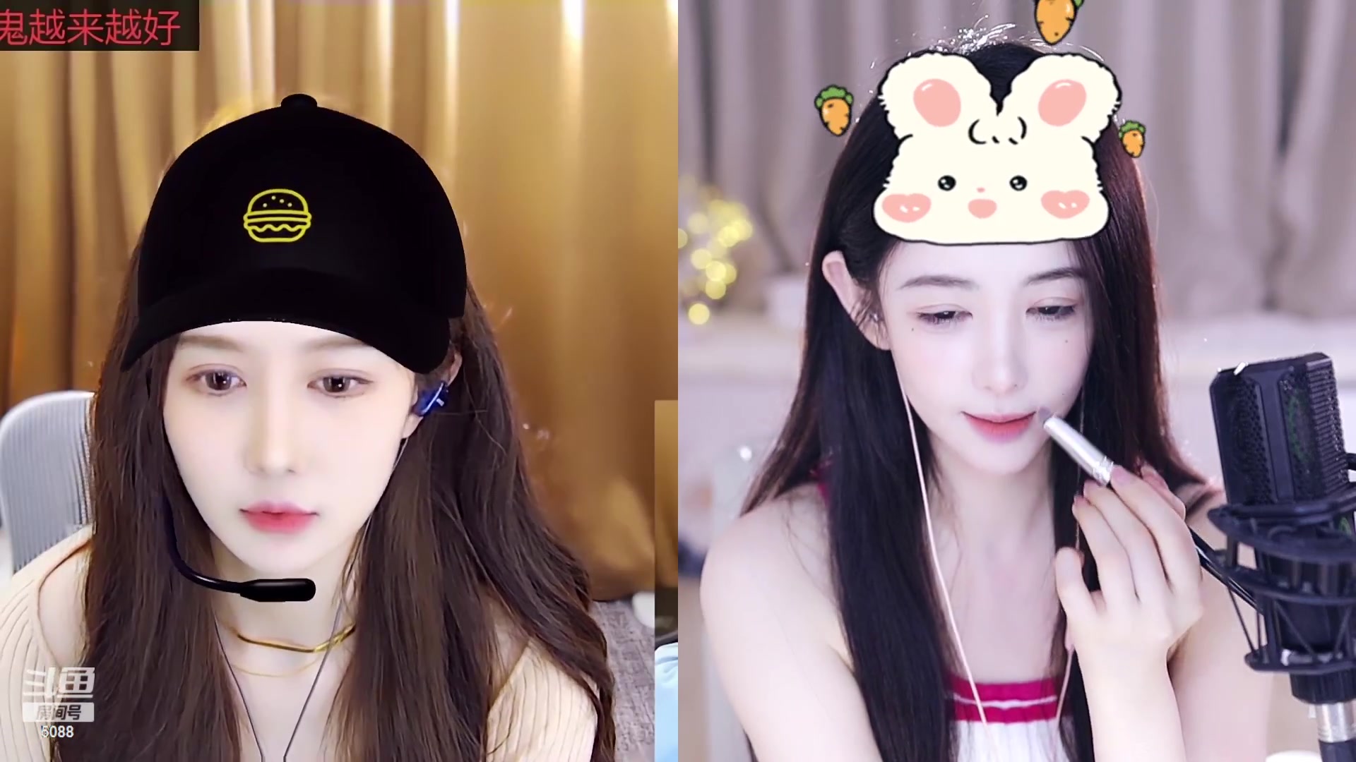 【2023-08-25 14点场】晒网的慧儿呀：小狗努力打工哦~