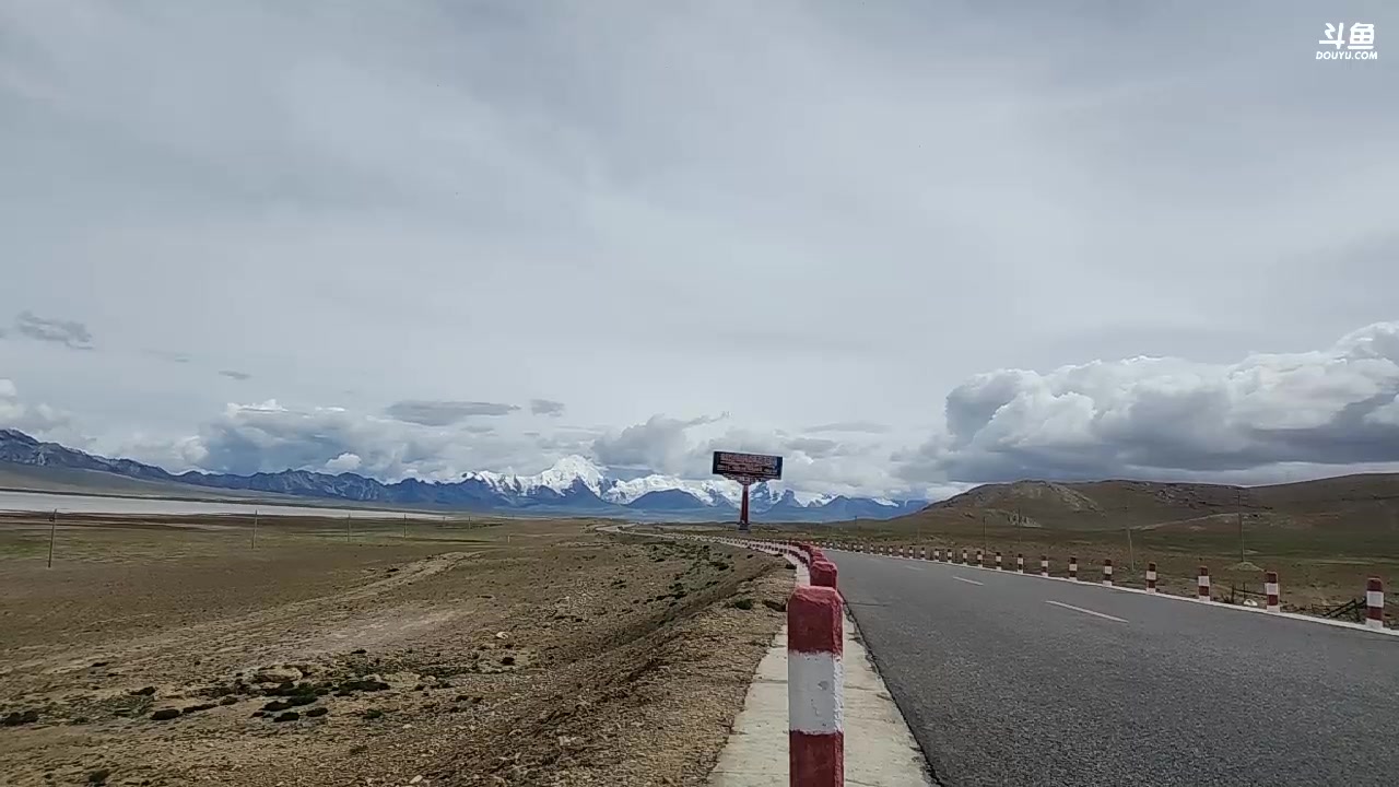 【2023-08-18 16点场】叶子户外：《纪实直播》day19多情错