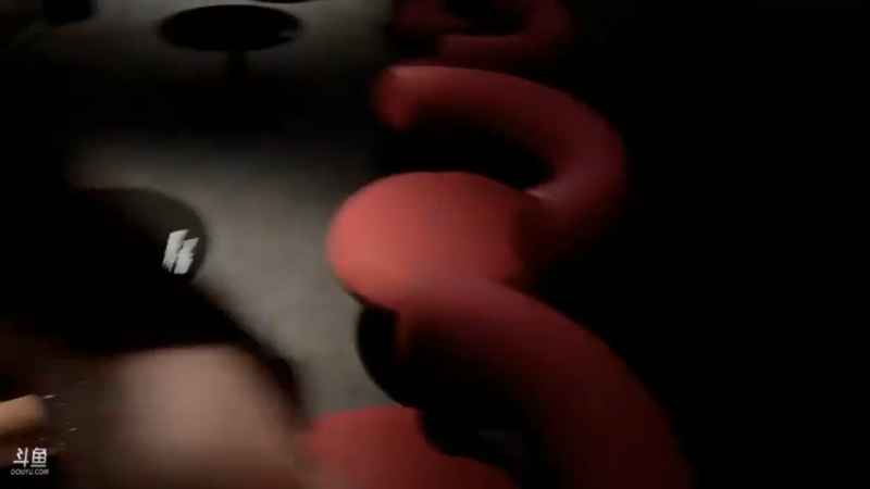 博哥和美女在日本玩