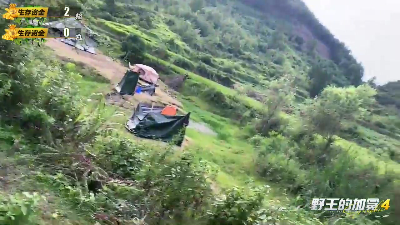 【2023-08-26 18点场】格局OoO：《野王的加冕4》Day2荷尔蒙的爆发