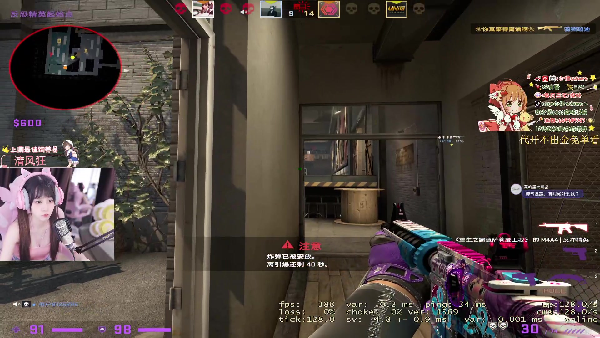 【2023-08-26 18点场】小樱sakura灬：【小樱】周末内战啦