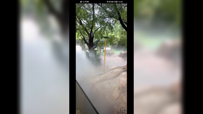 大熊猫还有凉亭休息，还有降温雾