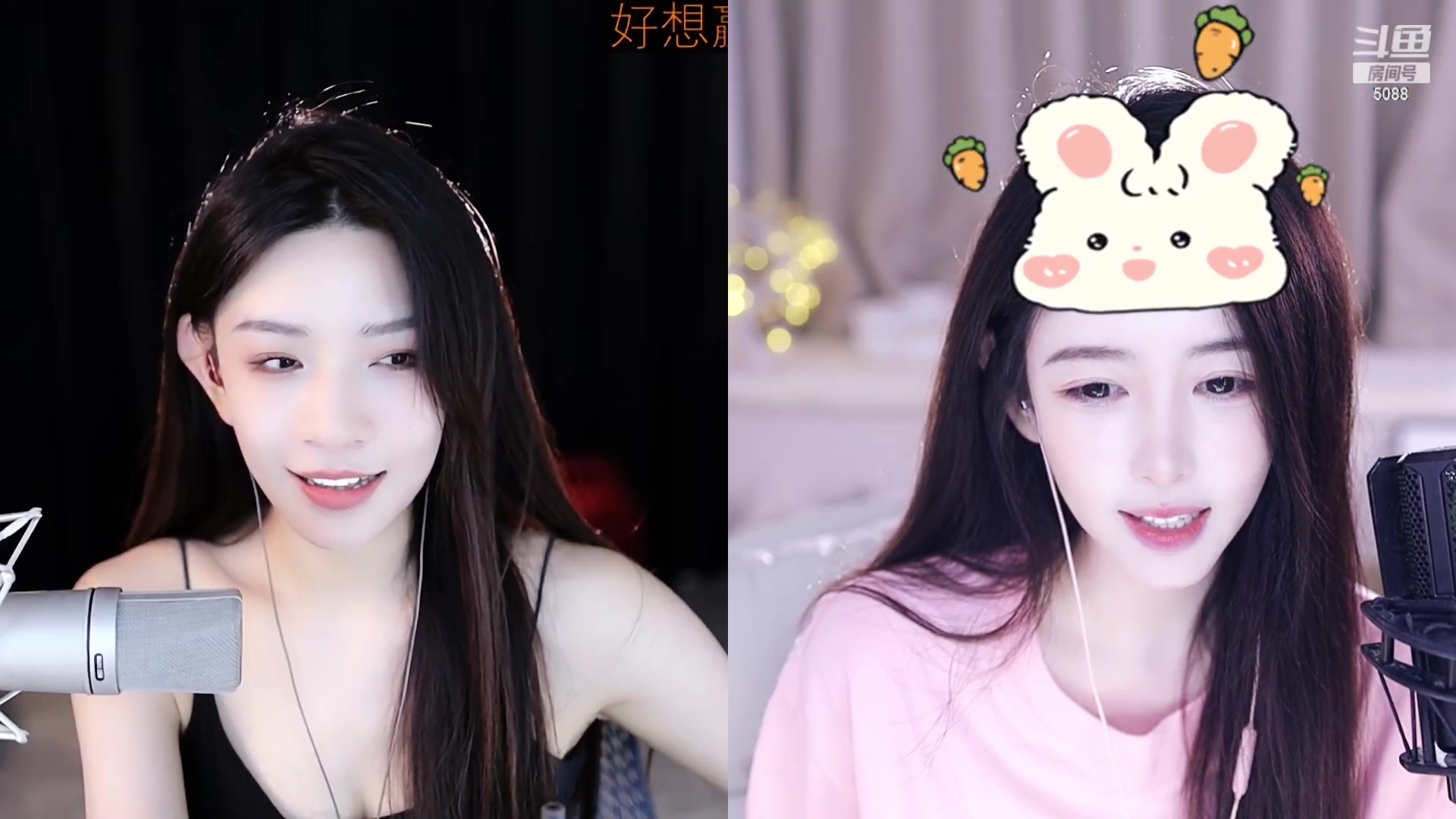 【2023-08-26 13点场】晒网的慧儿呀：小狗努力打工哦~