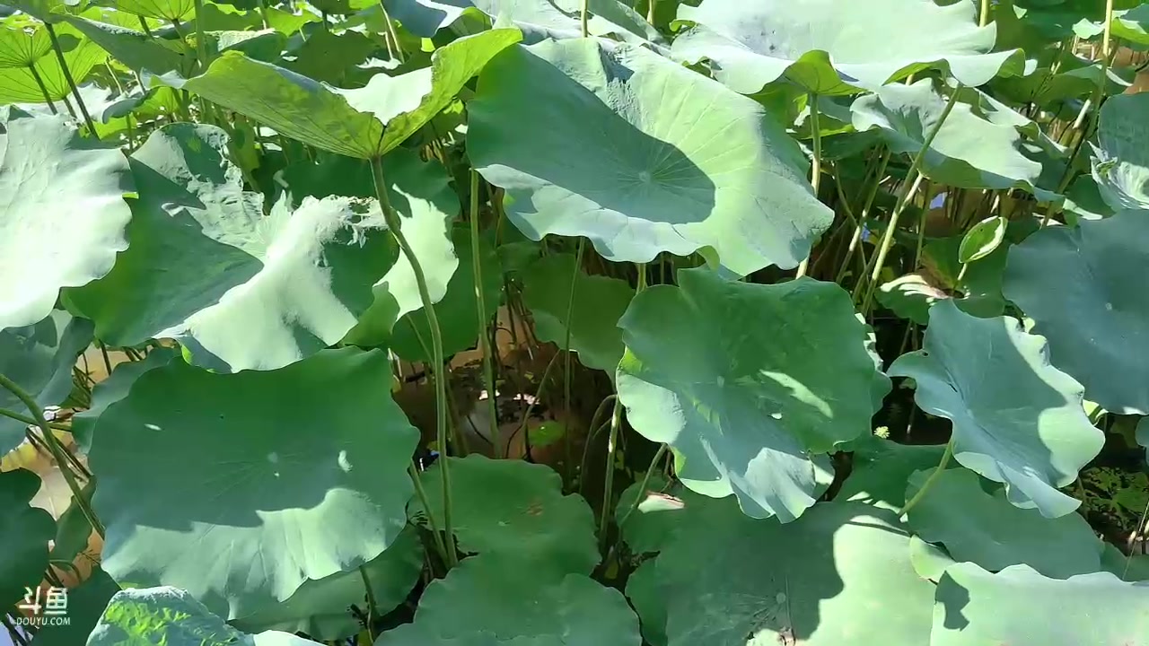 【2023-08-27 15点场】慕堇丶：真人直播一下