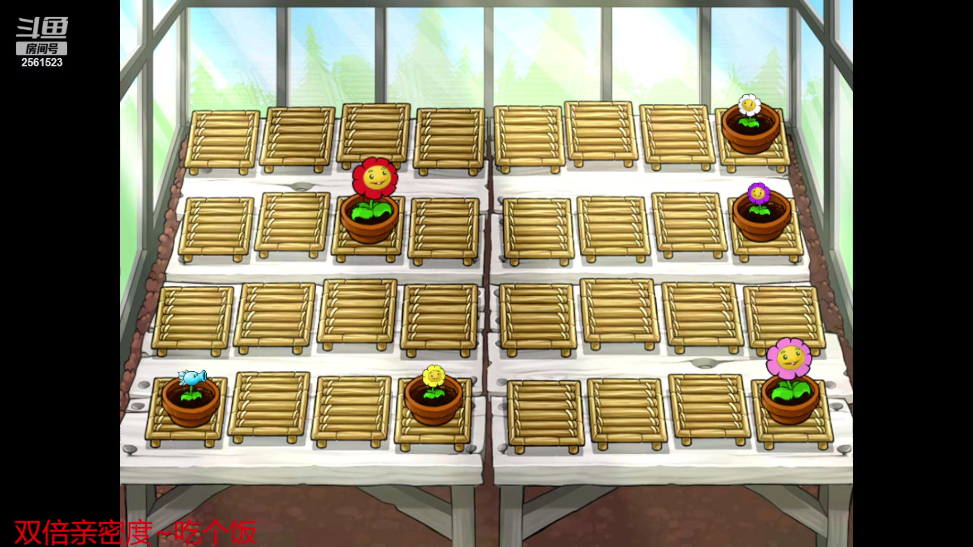 【2023-08-27 18点场】冲酱ccc：双倍亲密度~植！物！大！战！僵！尸！！！