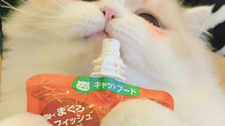 【2023-8-27 11点场】猫瞳ya:【甜甜少女音】下饭主包❤