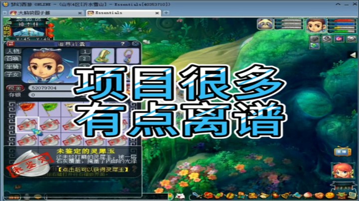 梦幻西游项目很多有点离谱