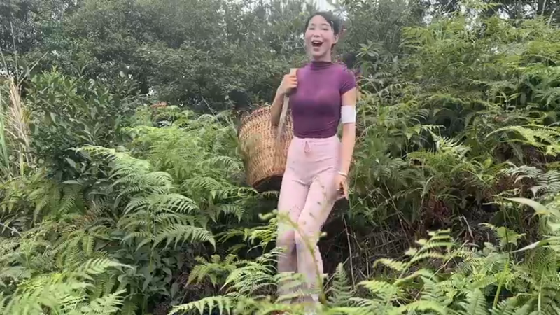 美女去野外找木姜树