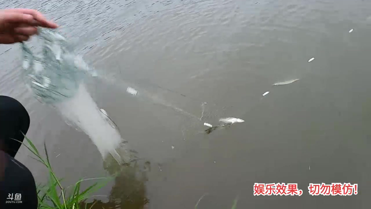 【2023-08-27 17点场】洪湖小肖：洪湖乡野团播day107