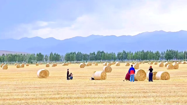 花开不是为了花落，而是为了开得更灿烂