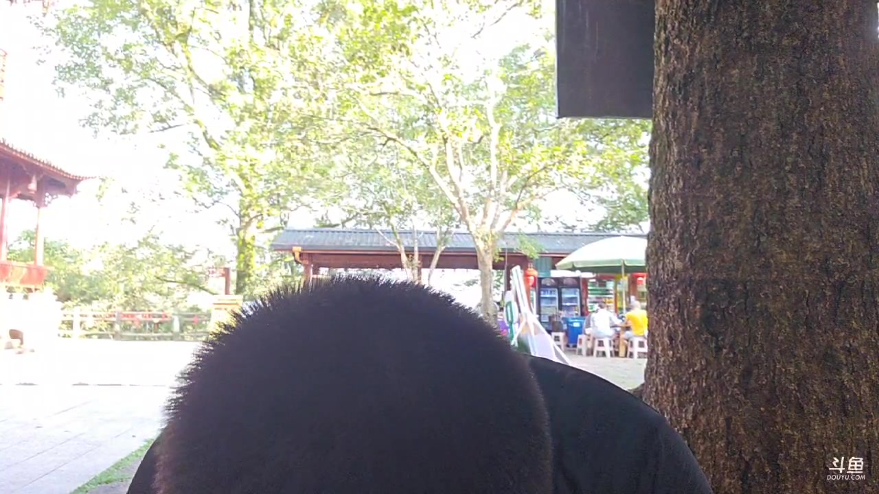 【2023-08-27 16点场】蓝战非OvO：福建武夷山～环游第161天