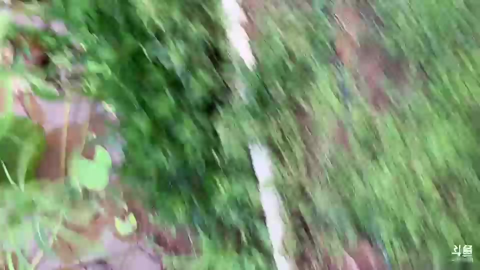 【2023-8-24 18点场】惠娜娜呀:【小奶团】985团播