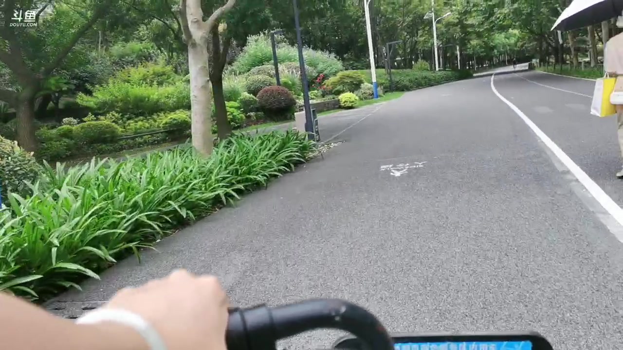 【2023-08-28 13点场】三时小周每娘娘：去看看荷花，不知道谢了没